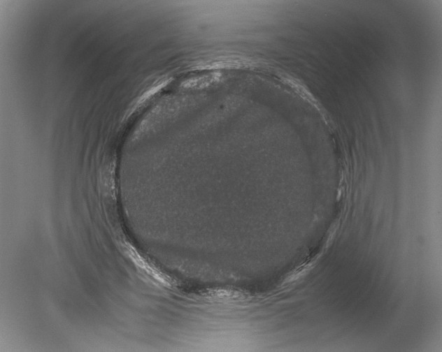 X0000080730585200701021122