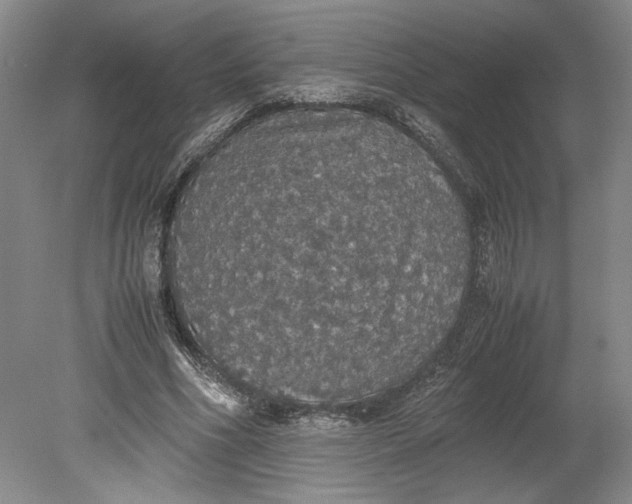 X0000080730586200701021122