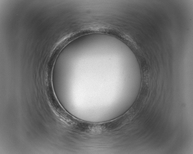 X0000080730587200701021122