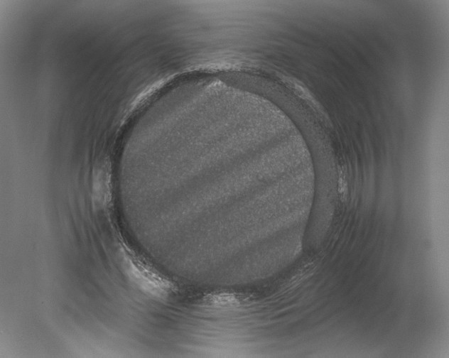 X0000080730588200701021122