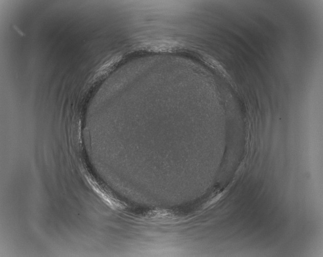 X0000080730589200701021122