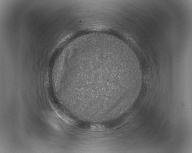 X0000080730591200701021122