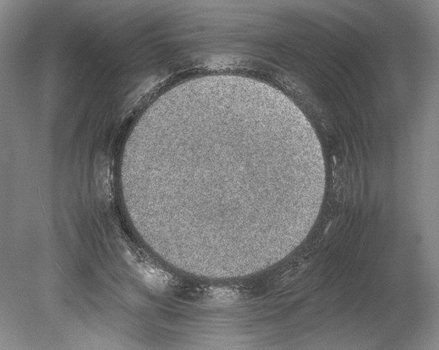 X0000080730592200701021122