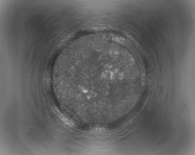 X0000080730593200701021122