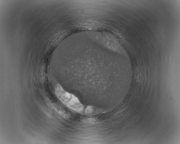 X0000080730594200701021122