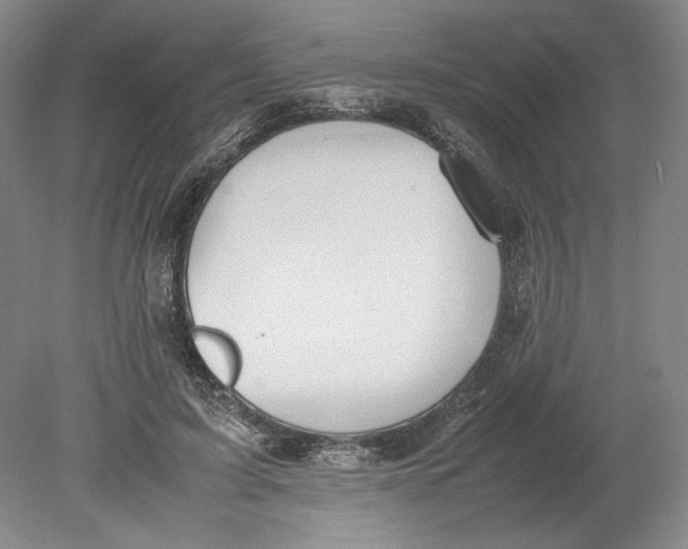 X0000080730595200701021122