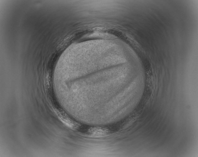 X0000080730597200701021122