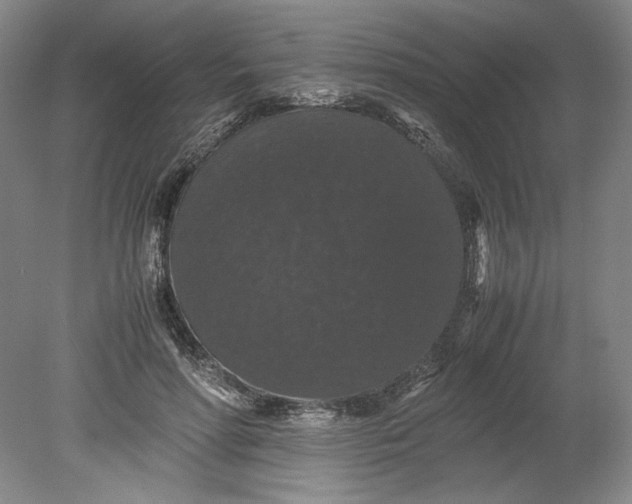 X0000080730598200701021122