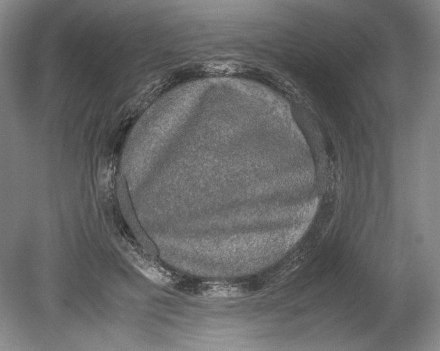 X0000080730601200701021122