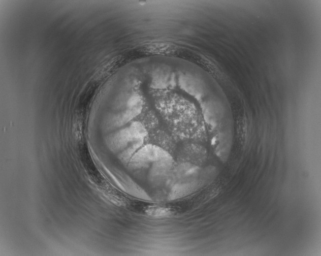 X0000080730602200701021122