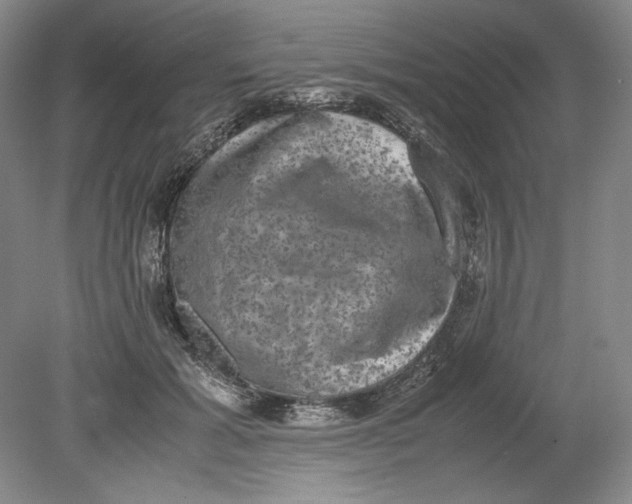 X0000080730605200701021122