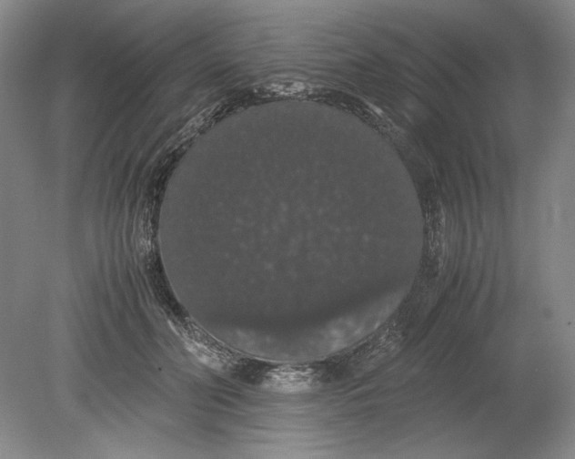 X0000080730606200701021122