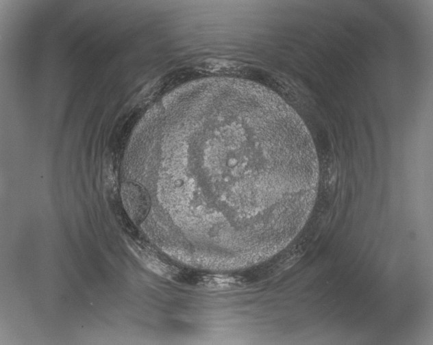 X0000080730607200701021122