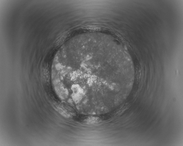 X0000080730609200701021122