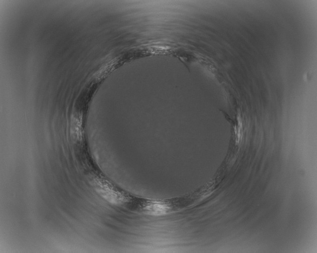 X0000080730610200701021122