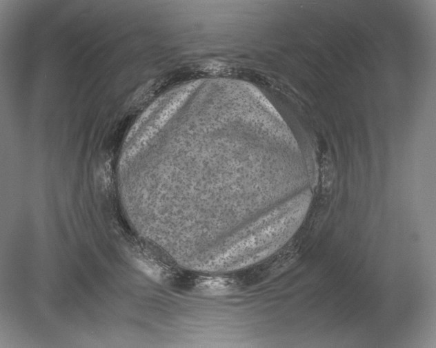 X0000080730611200701021122