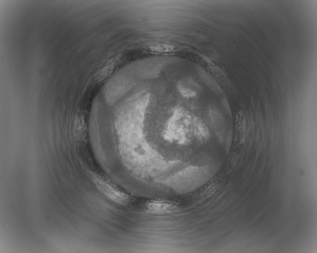 X0000080730614200701021122