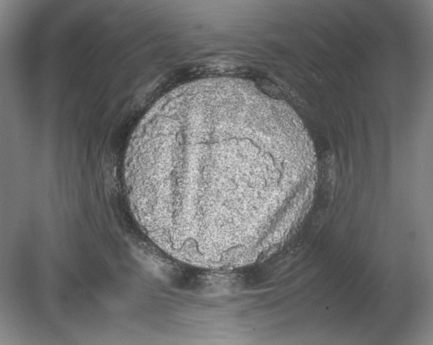 X0000080730615200701021122