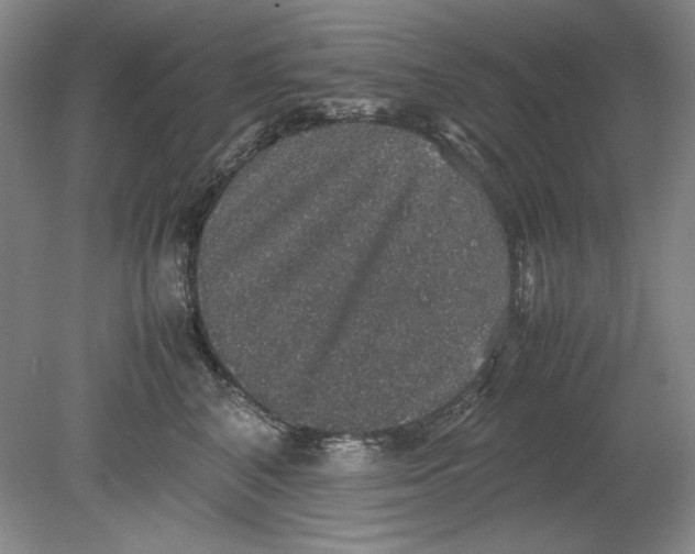 X0000080730616200701021122