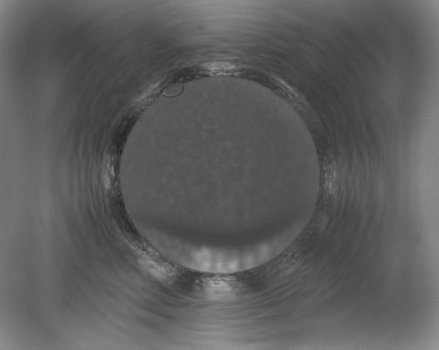 X0000080730618200701021122