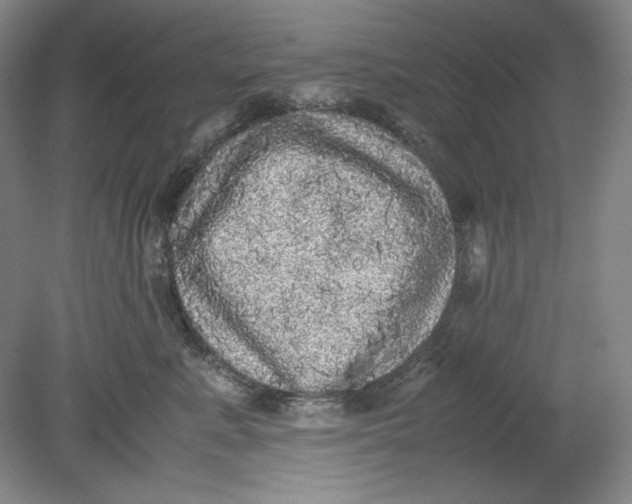 X0000080730619200701021122