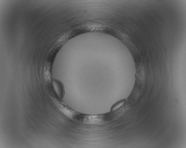 X0000080730622200701021121