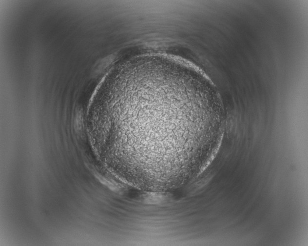 X0000080730623200701021121