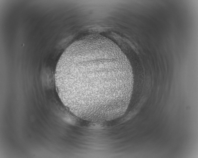 X0000080730624200701021121