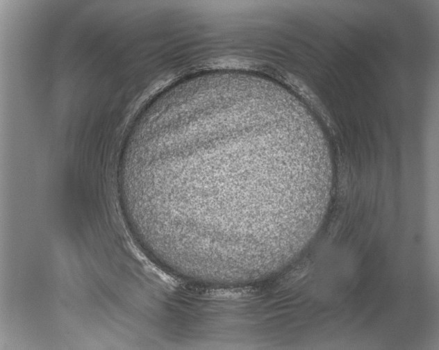 X0000080730625200701021121