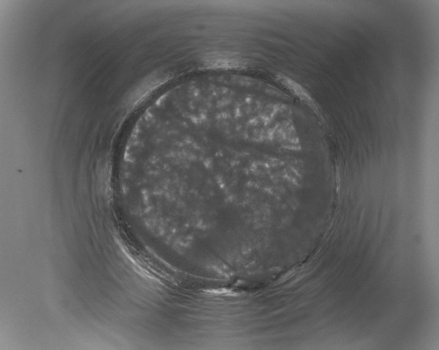 X0000080730627200701021121