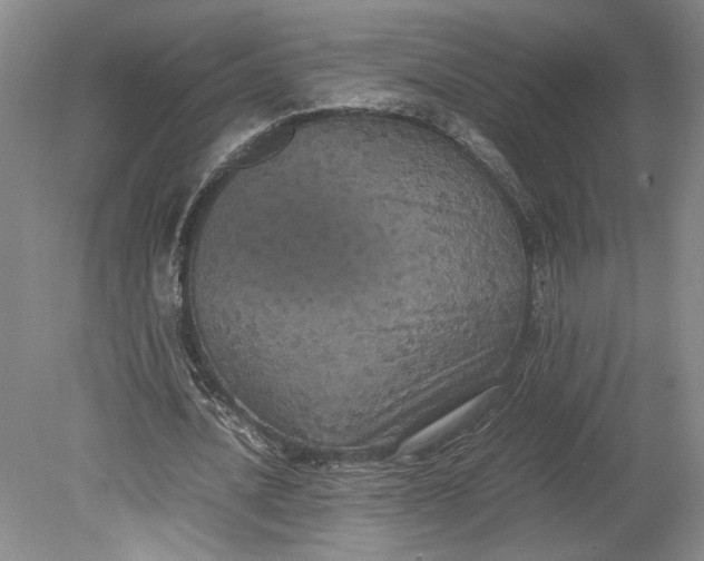 X0000080730628200701021121