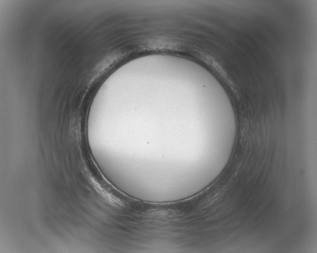 X0000080730629200701021121