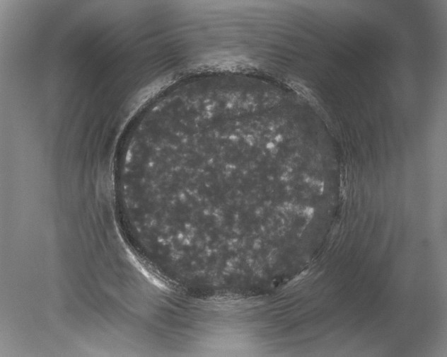 X0000080730630200701021121