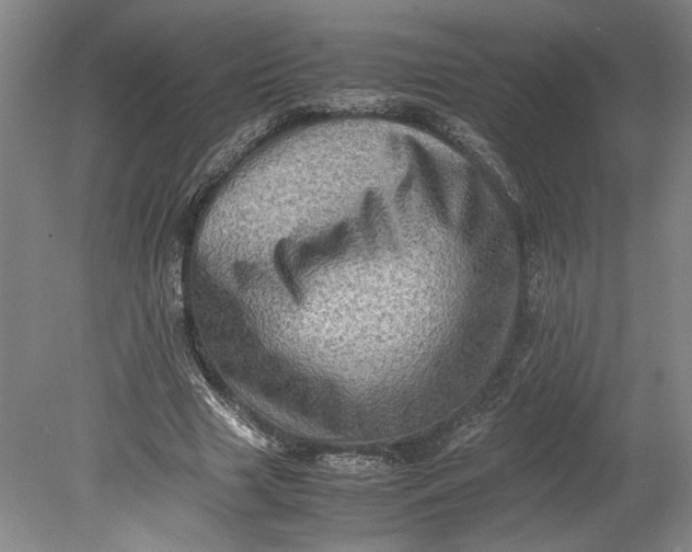 X0000080730633200701021121