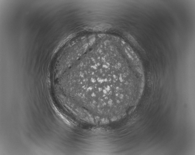 X0000080730634200701021121