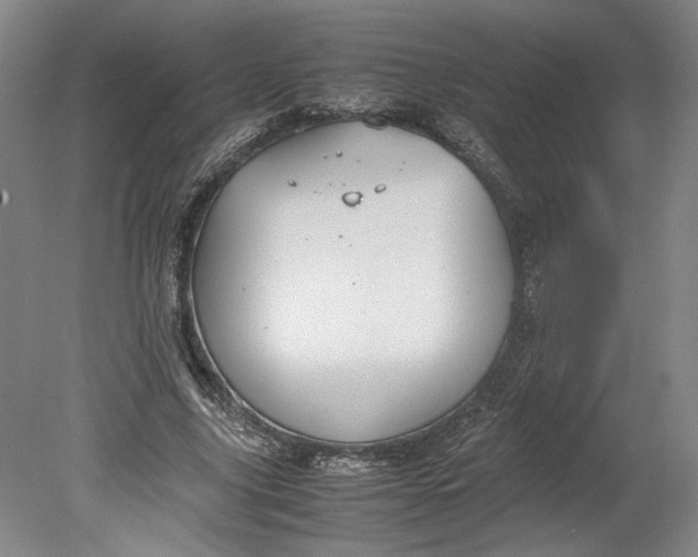 X0000080730635200701021121