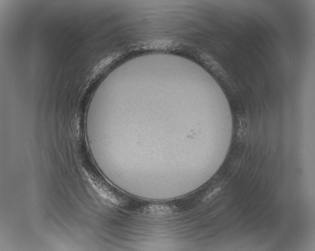 X0000080730636200701021121