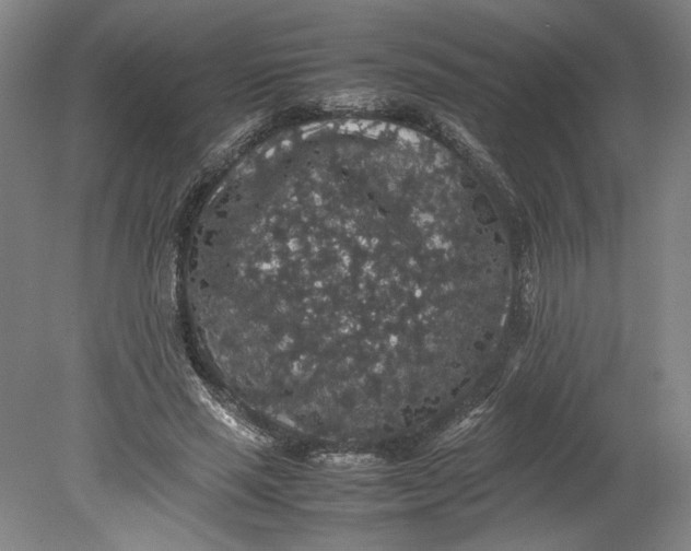 X0000080730637200701021121