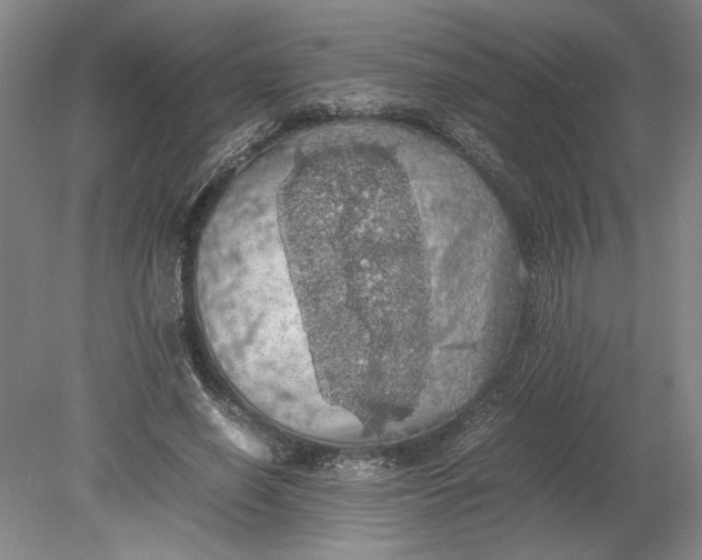 X0000080730638200701021121