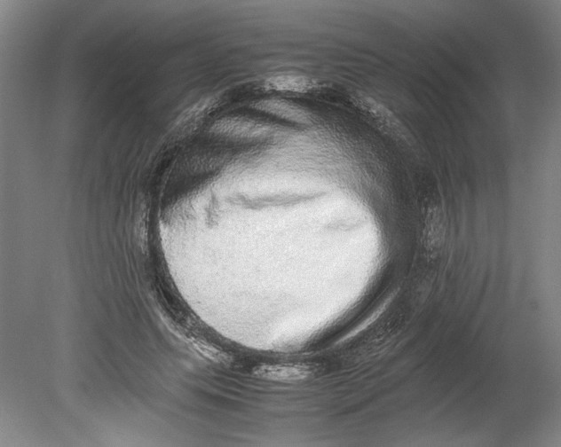 X0000080730639200701021121