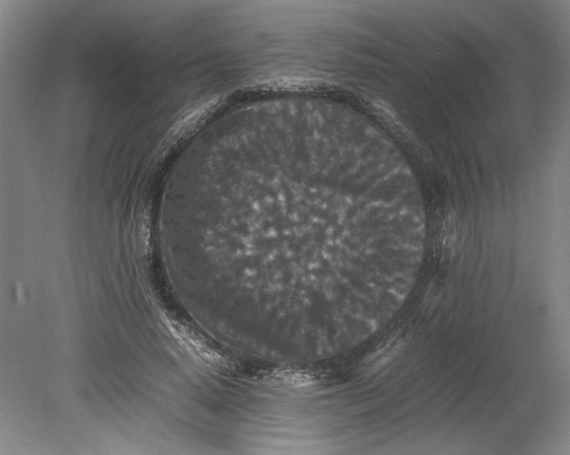 X0000080730640200701021121