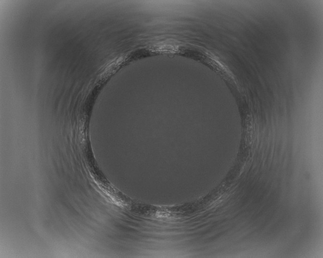 X0000080730641200701021121