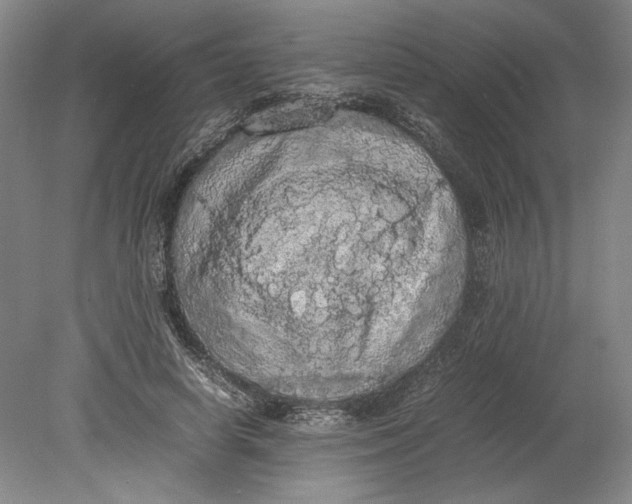 X0000080730642200701021121