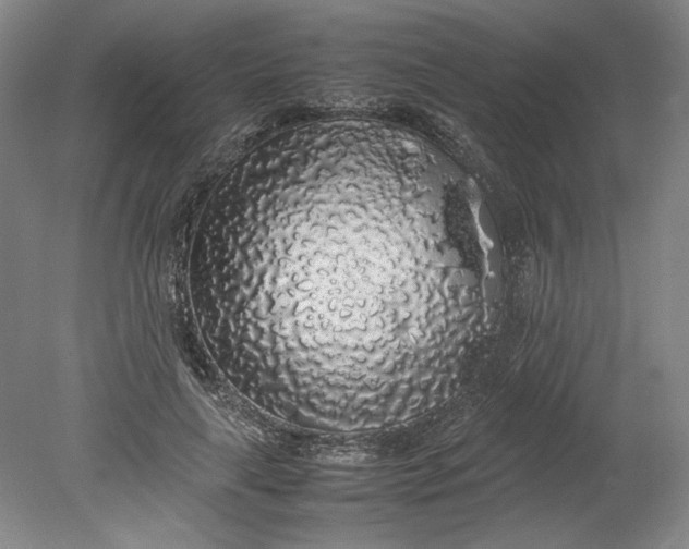 X0000080730643200701021121