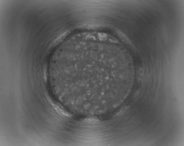 X0000080730644200701021121