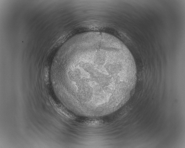 X0000080730646200701021121