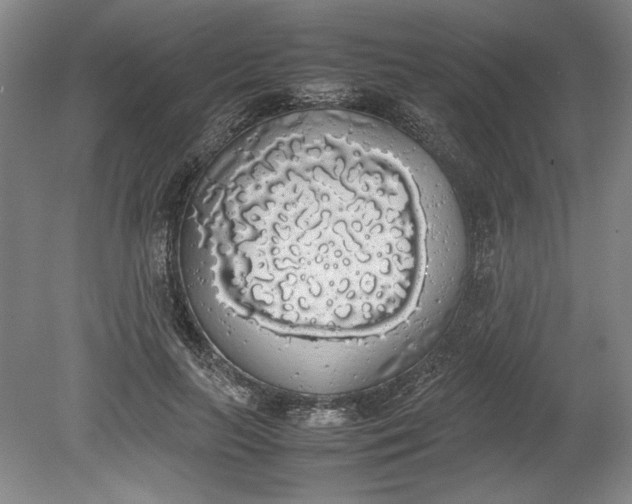 X0000080730647200701021121