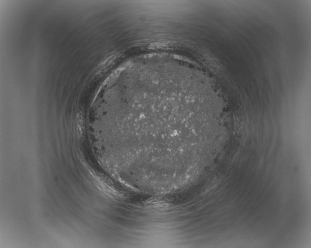 X0000080730648200701021121