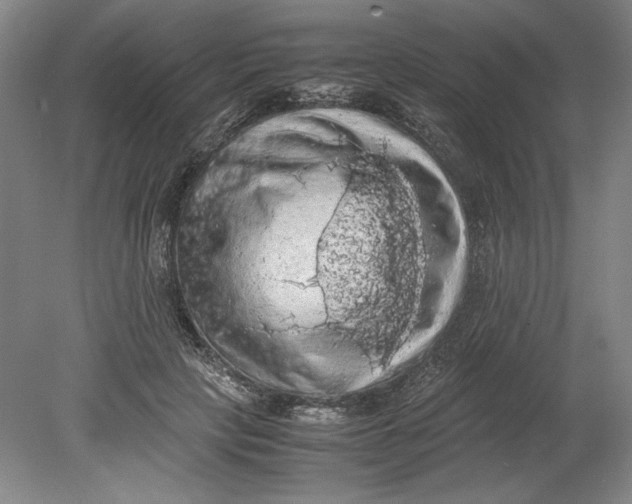 X0000080730649200701021121