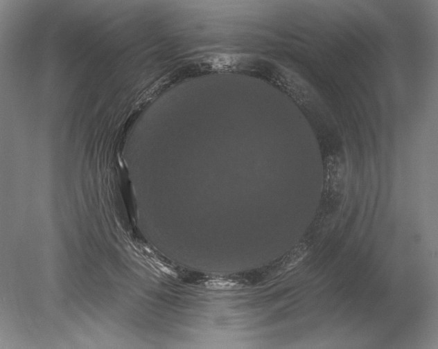 X0000080730650200701021121